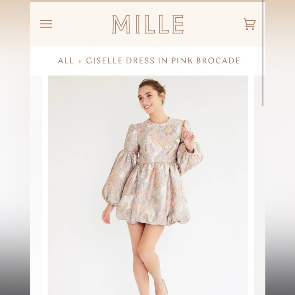 Mille Giselle Dress in pink brocade XL